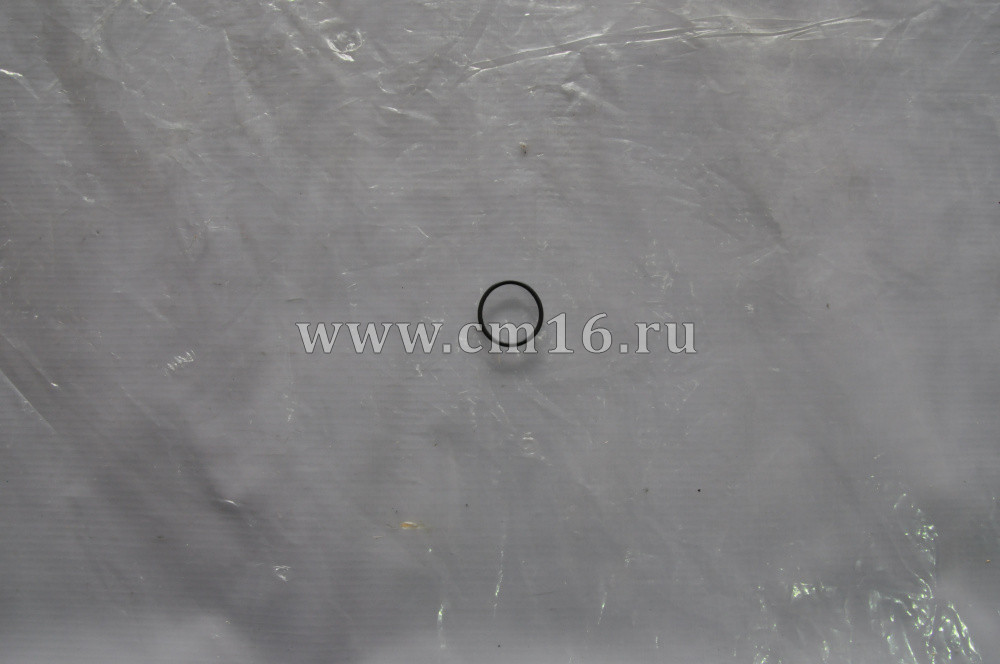 3042543 Кольцо уплотнительное многофункциональное (О+)