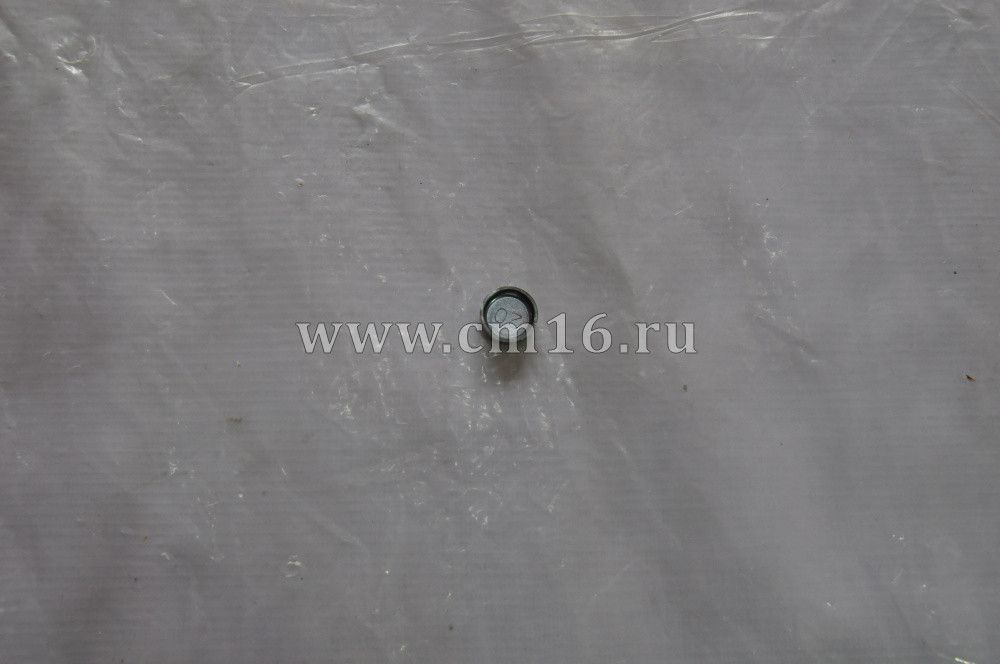 3900956 Заглушка ГБЦ D=17.8 блок цилиндров (O+)
