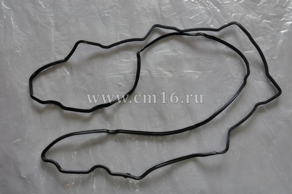 3966708/5272959 Прокладка под рамку крышки клапана 6ISLe (C)