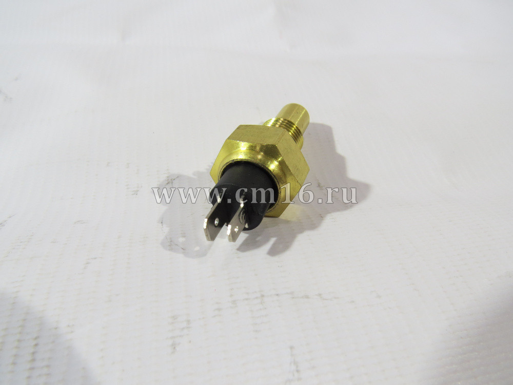 3979176/3845N06-010 Датчик температуры охлажд. жидкости ISBe,6CT,6L (С)